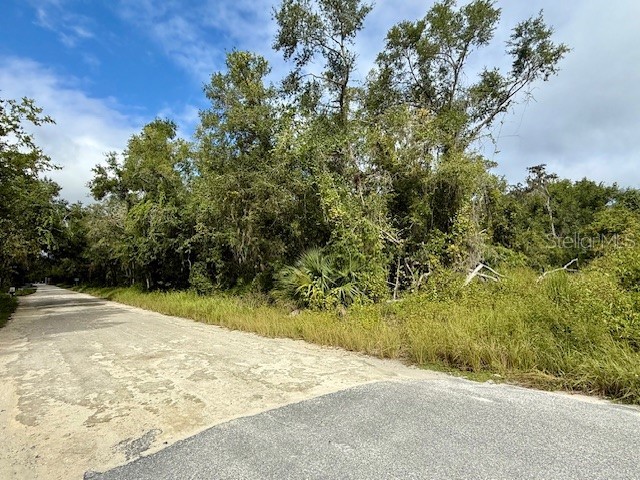 0 Gresham Road Webster FL 33597 W7879404 image7