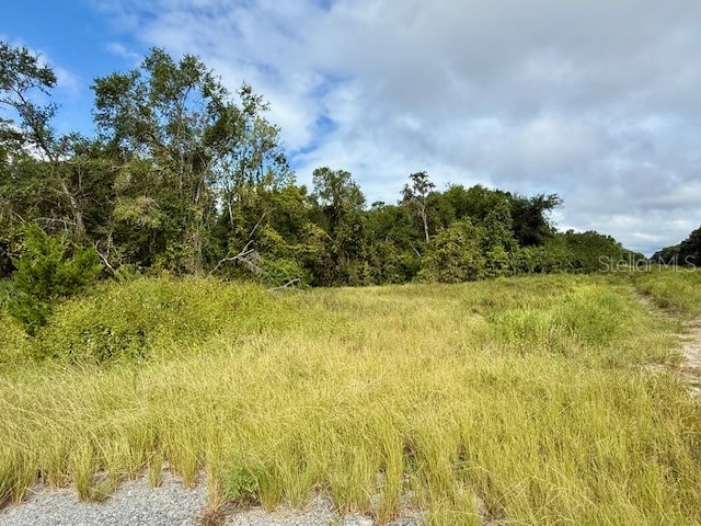 0 Gresham Road Webster FL 33597 W7879404 image8