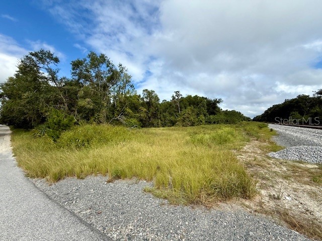 0 Gresham Road Webster FL 33597 W7879404 image9