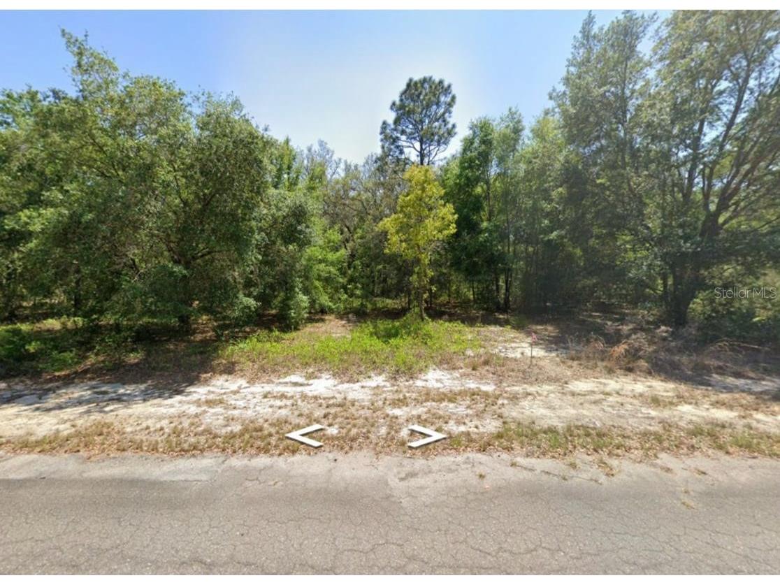 0 Guava Lane Place Ocklawaha FL 32179 O6409272 image1