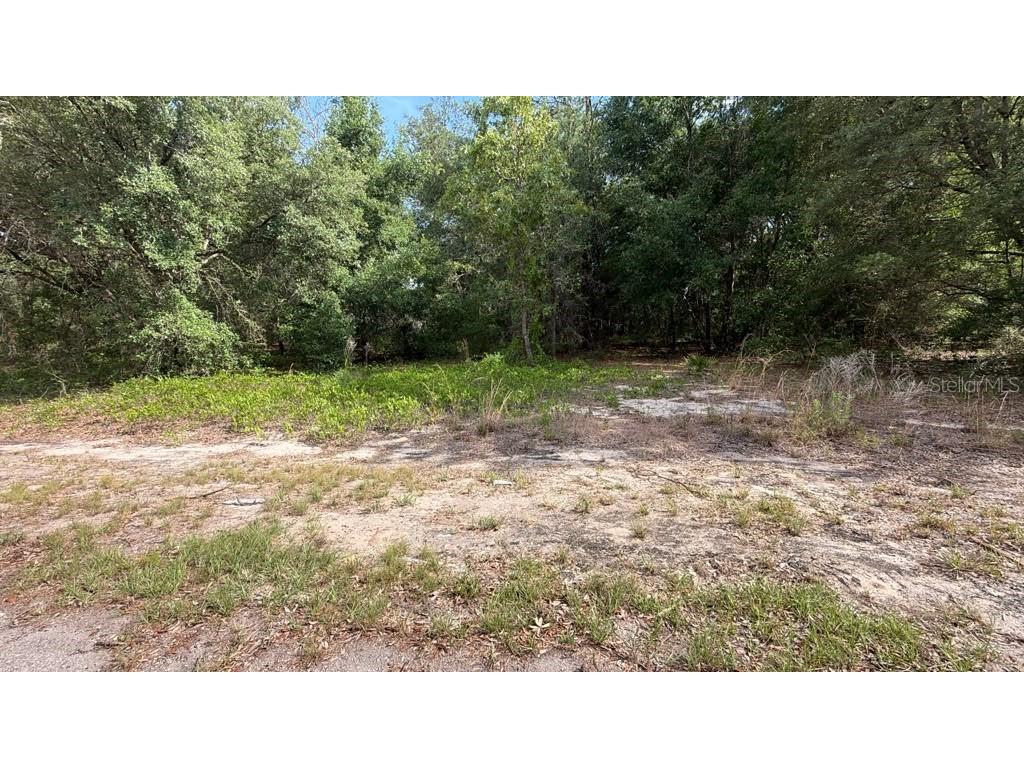 0 Guava Lane Place Ocklawaha FL 32179 O6409272 image2