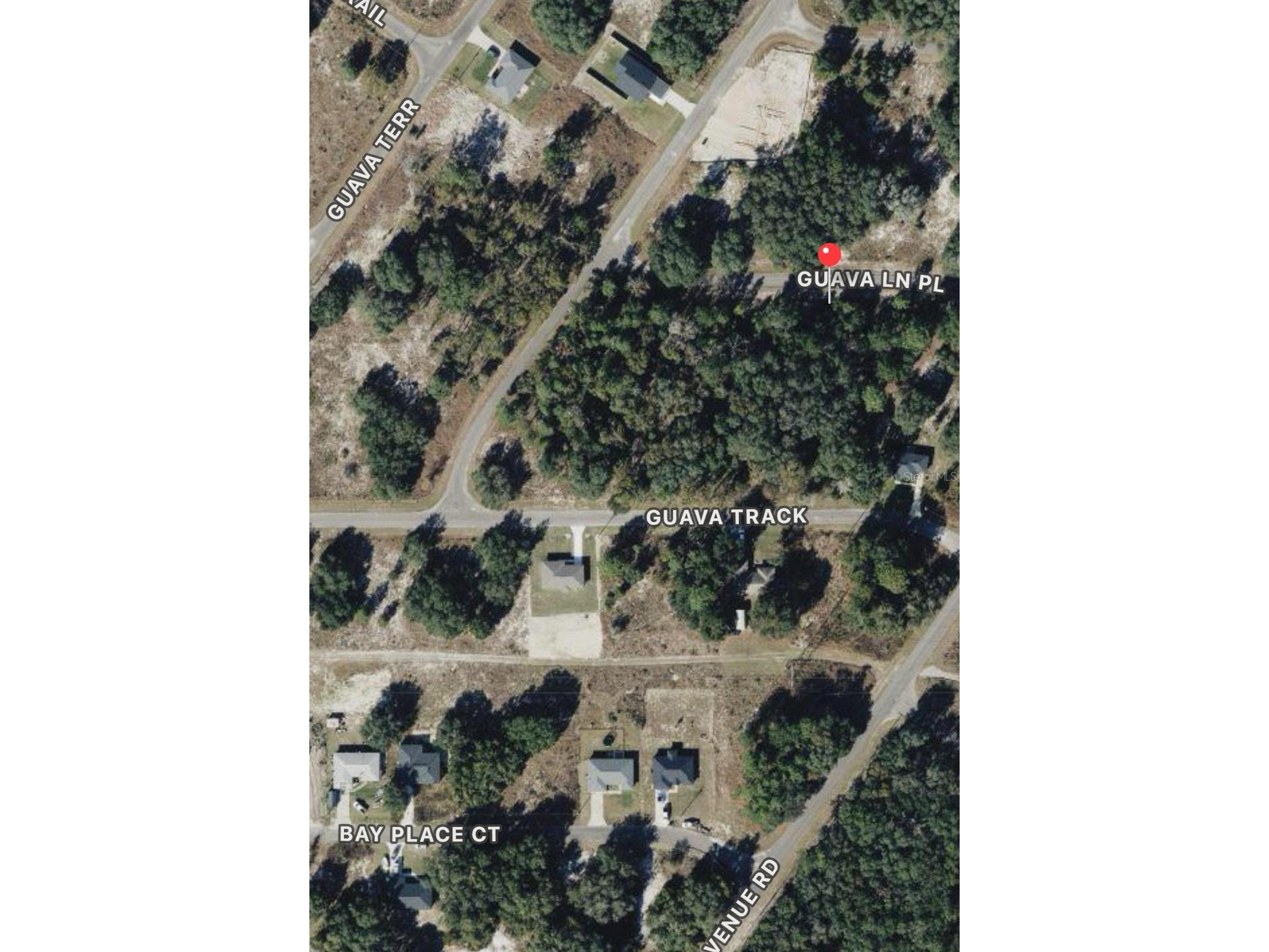 0 Guava Lane Place Ocklawaha FL 32179 O6409272 image3