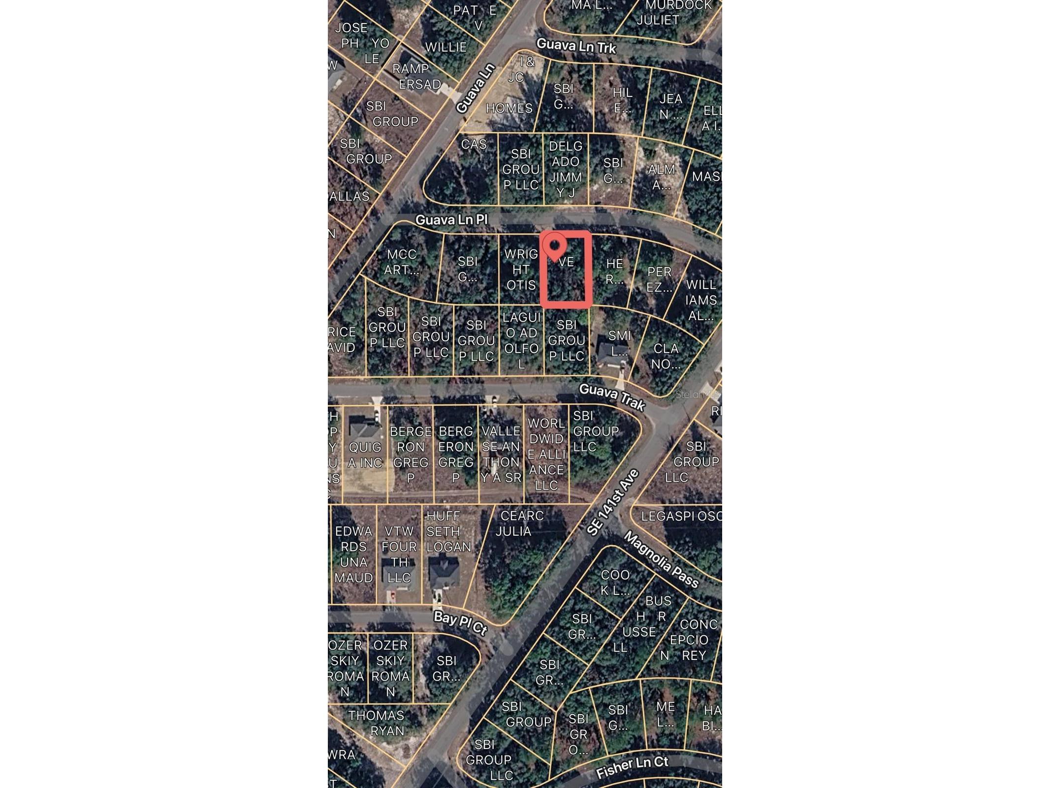 0 Guava Lane Place Ocklawaha FL 32179 O6409272 image4