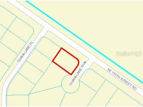 0 Guava Lane Run Ocklawaha FL 32179 OM658319 image1