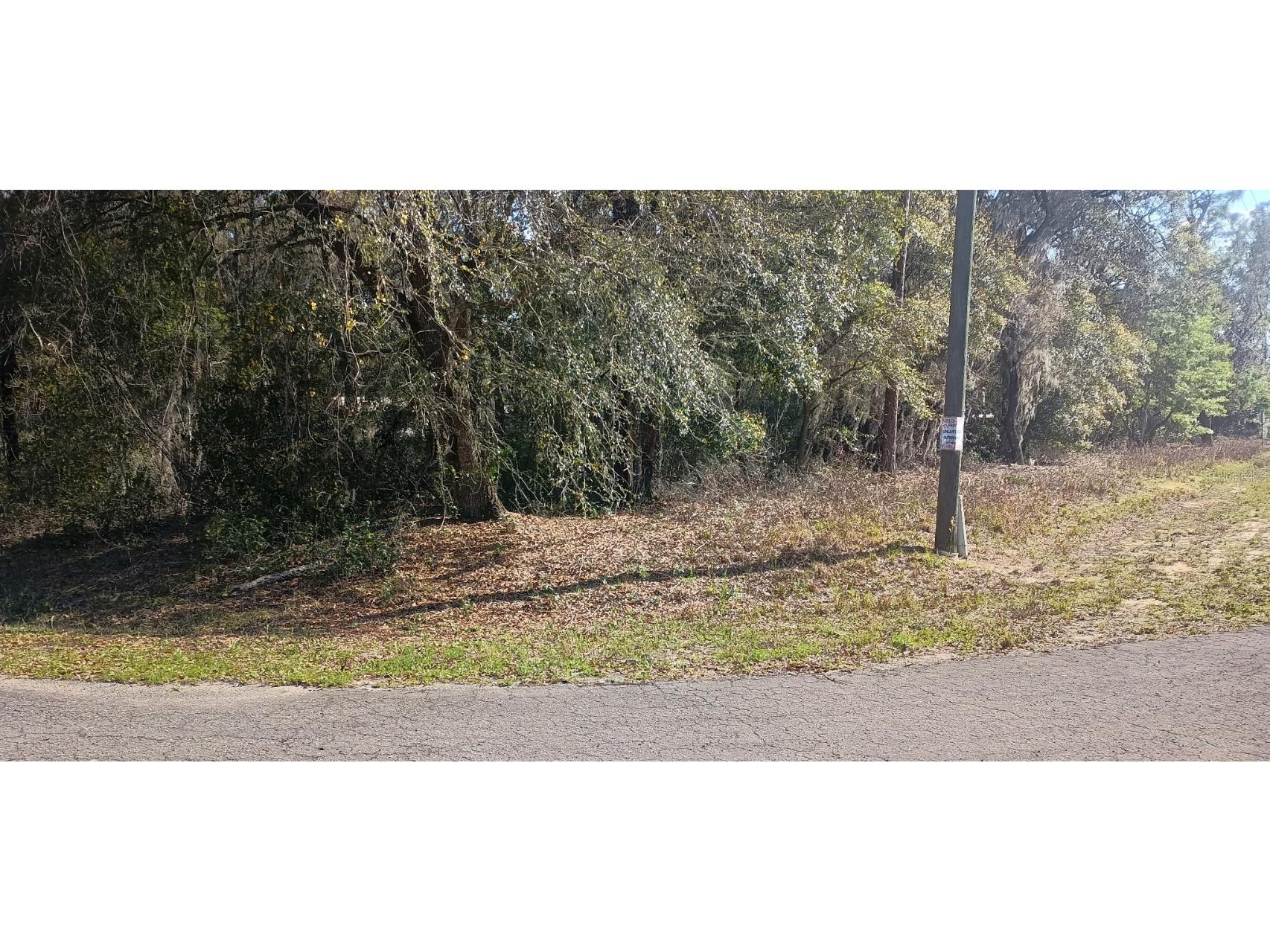 0 Guava Lane Track #LOT 1 Ocklawaha FL 32179 OM697326 image1