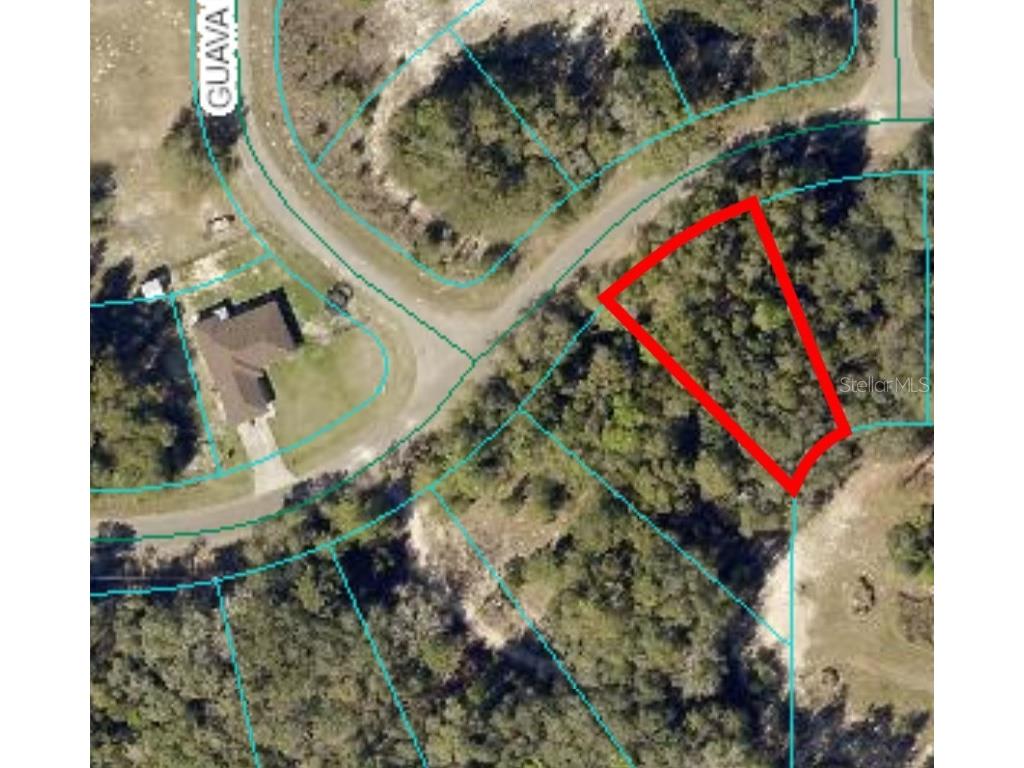 0 Guava Pass #14 Ocklawaha FL 32179 OM683342 image1