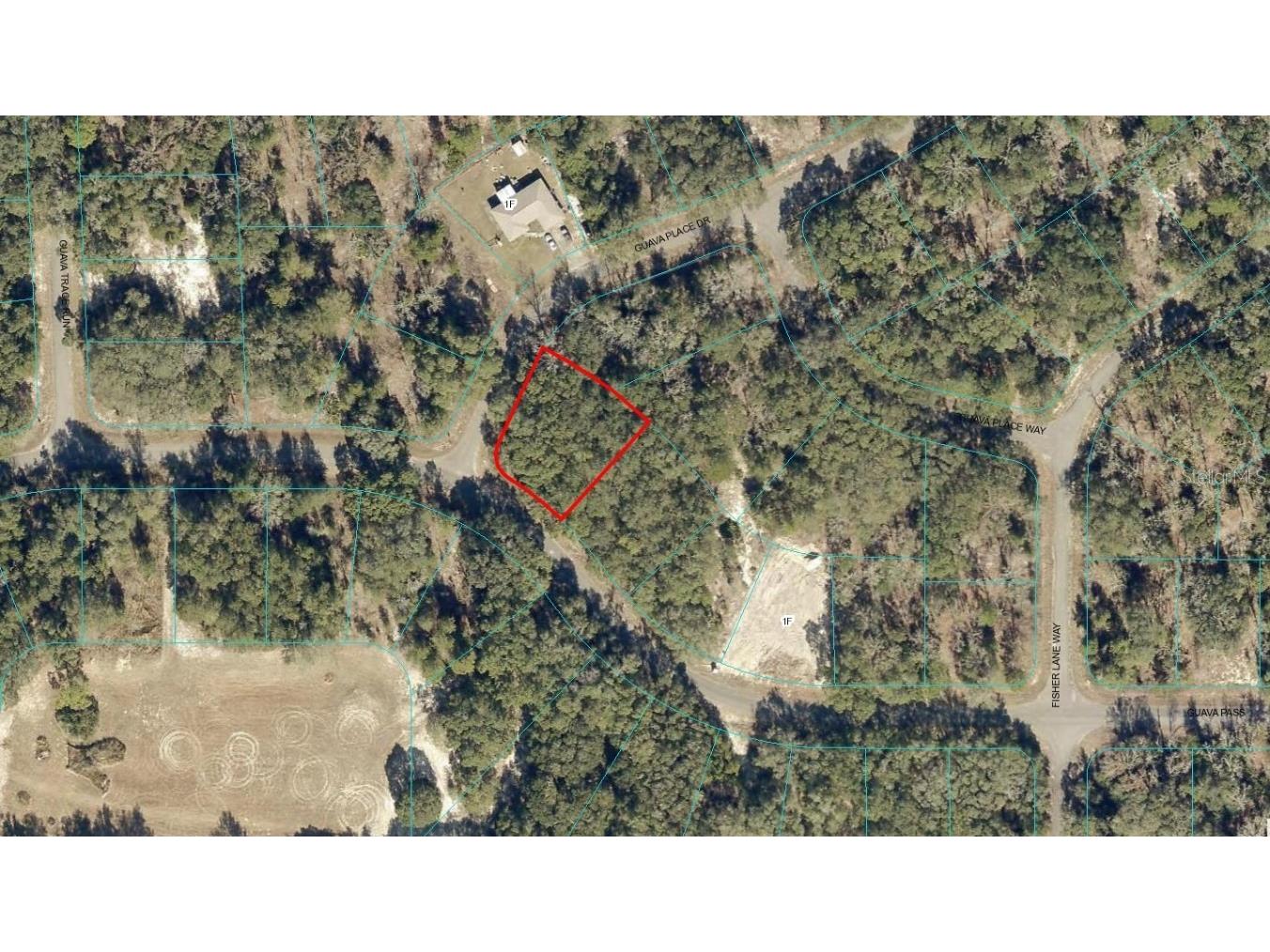 0 Guava Pass/Guava Place Drive Ocklawaha FL 32179 OM662547 image1