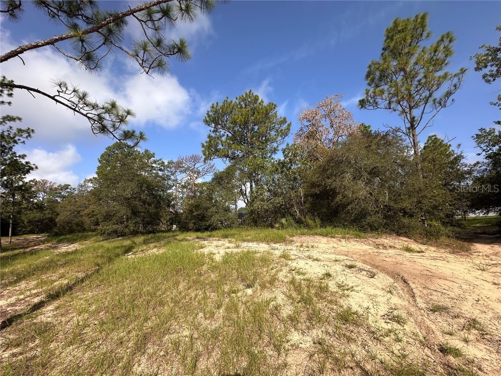 0 Guava Pass Ocklawaha FL 32179 OM693534 image10