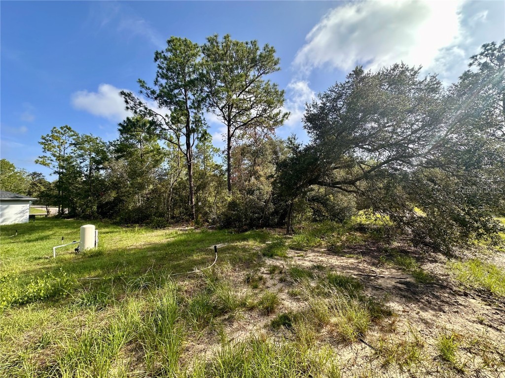 0 Guava Pass Ocklawaha FL 32179 OM693534 image11