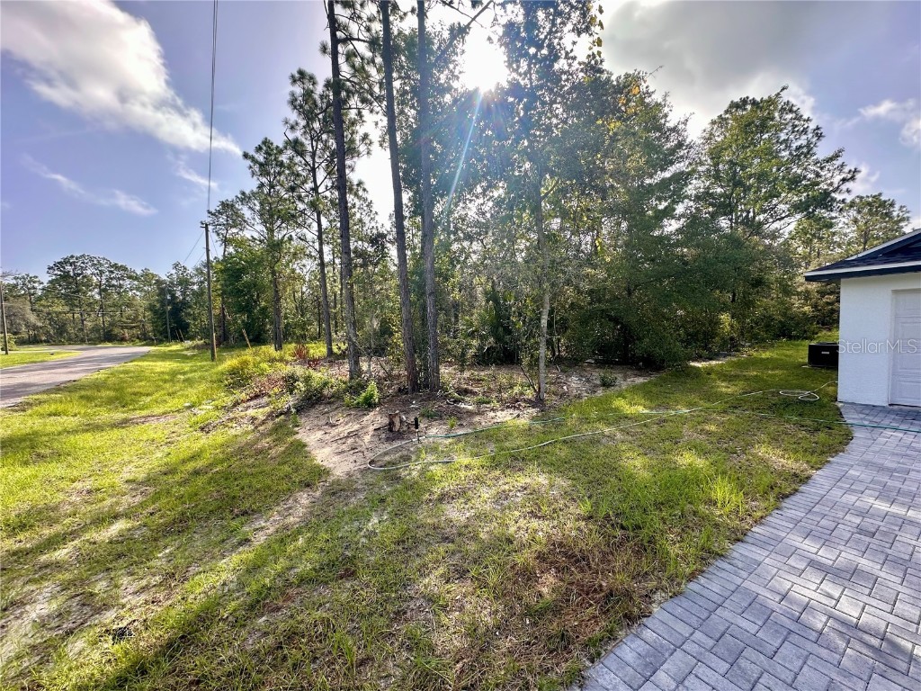 0 Guava Pass Ocklawaha FL 32179 OM693534 image12