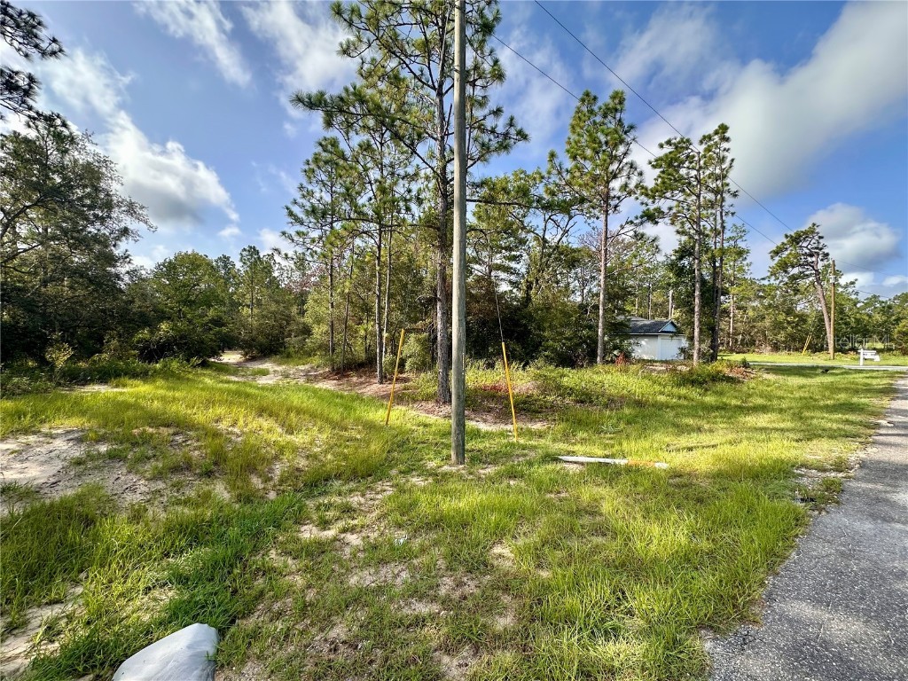 0 Guava Pass Ocklawaha FL 32179 OM693534 image3