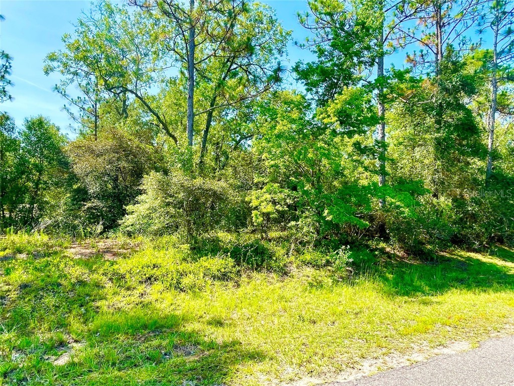 0 Guava Pass Ocklawaha FL 32179 OM693534 image6