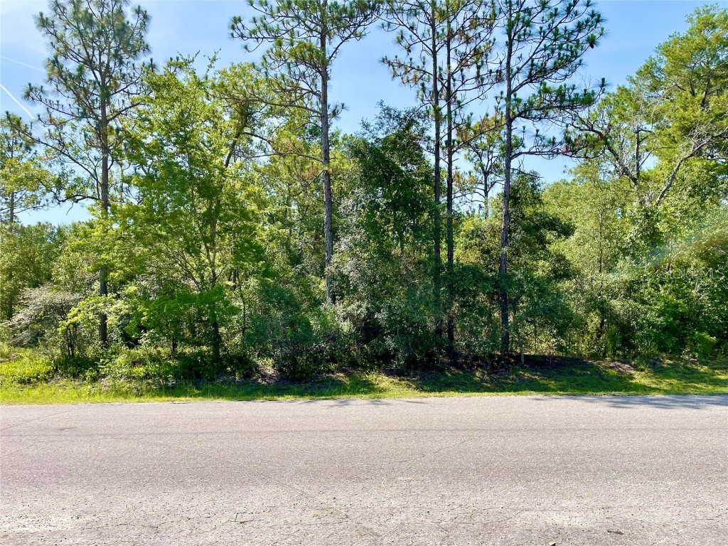 0 Guava Pass Ocklawaha FL 32179 OM693534 image8