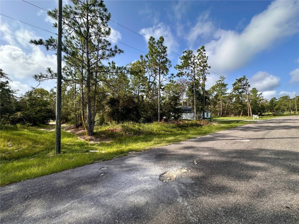 0 Guava Pass Ocklawaha FL 32179 OM693534 image9