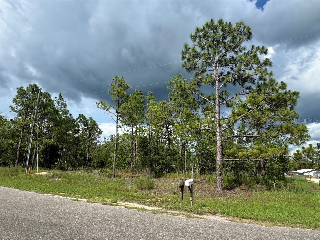 0 Guava Pass Ocklawaha FL 32179 OM696570 image1