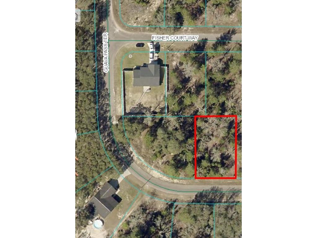 0 Guava Pass Terrace Ocklawaha FL 32179 OM684651 image1