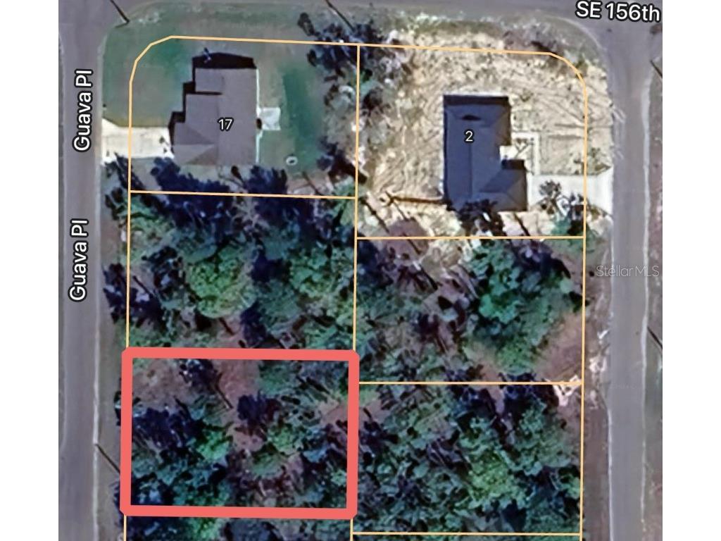 0 Guava Place Ocklawaha FL 32179 OM691739 image1