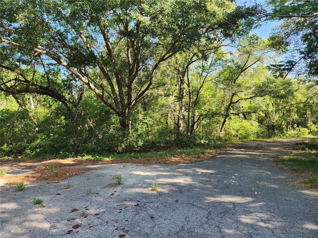 0 Guava Ter Loop Pass Ocklawaha FL 32179 OM656056 image1
