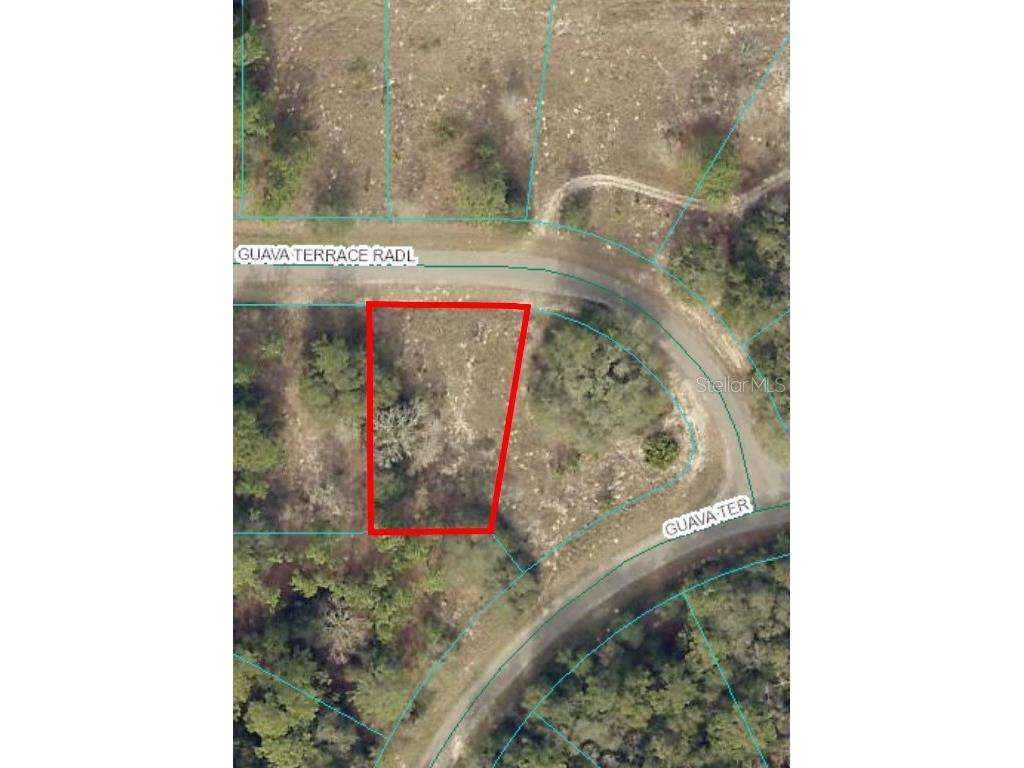 0 Guava Ter Radial #LOT 17 Ocklawaha FL 32179 OM679769 image1