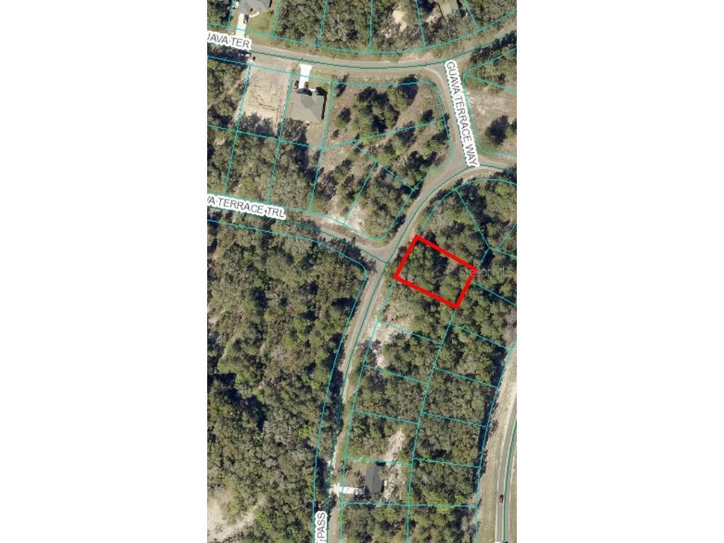 0 Guava Ter Trail Ocklawaha FL 32179 OM690870 image1
