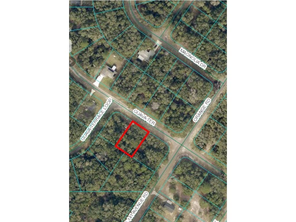 0 Guava Terrace Ocklawaha FL 32179 OM691320 image1