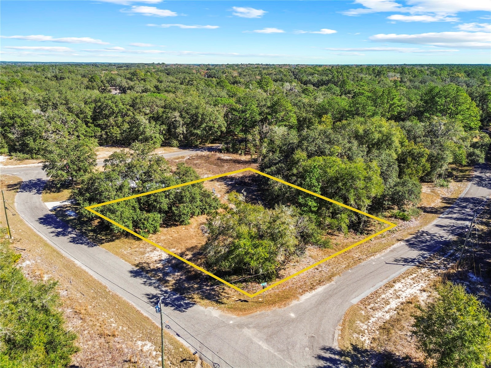 0 Guava Terrace Place & Bay Place Run Ocklawaha FL 32179 OM716911 image1