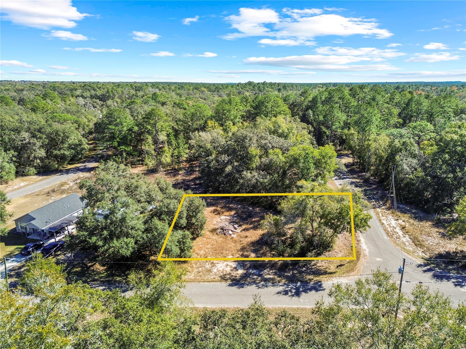 0 Guava Terrace Place & Bay Place Run Ocklawaha FL 32179 OM716911 image10
