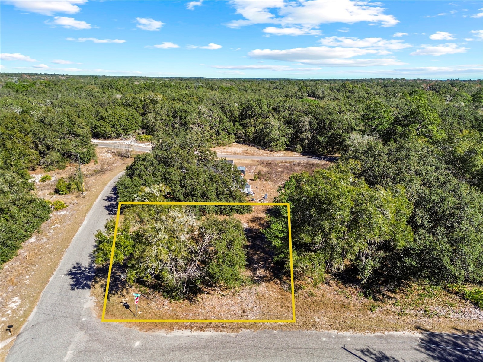0 Guava Terrace Place & Bay Place Run Ocklawaha FL 32179 OM716911 image3