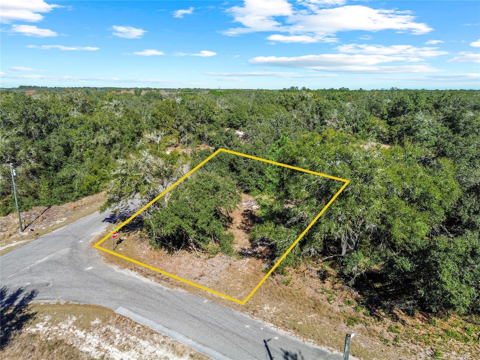 0 Guava Terrace Place & Bay Place Run Ocklawaha FL 32179 OM716911 image8