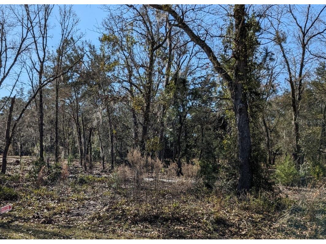 0 Guava Terrace Radial Ocklawaha FL 32179 T3502374 image1