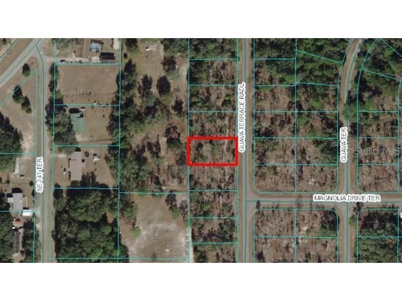 0 Guava Terrace Radial Ocklawaha FL 32179 O6415269 image1