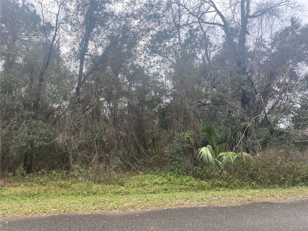 0 Guava Trak Ocklawaha FL 32179 OM673970 image1