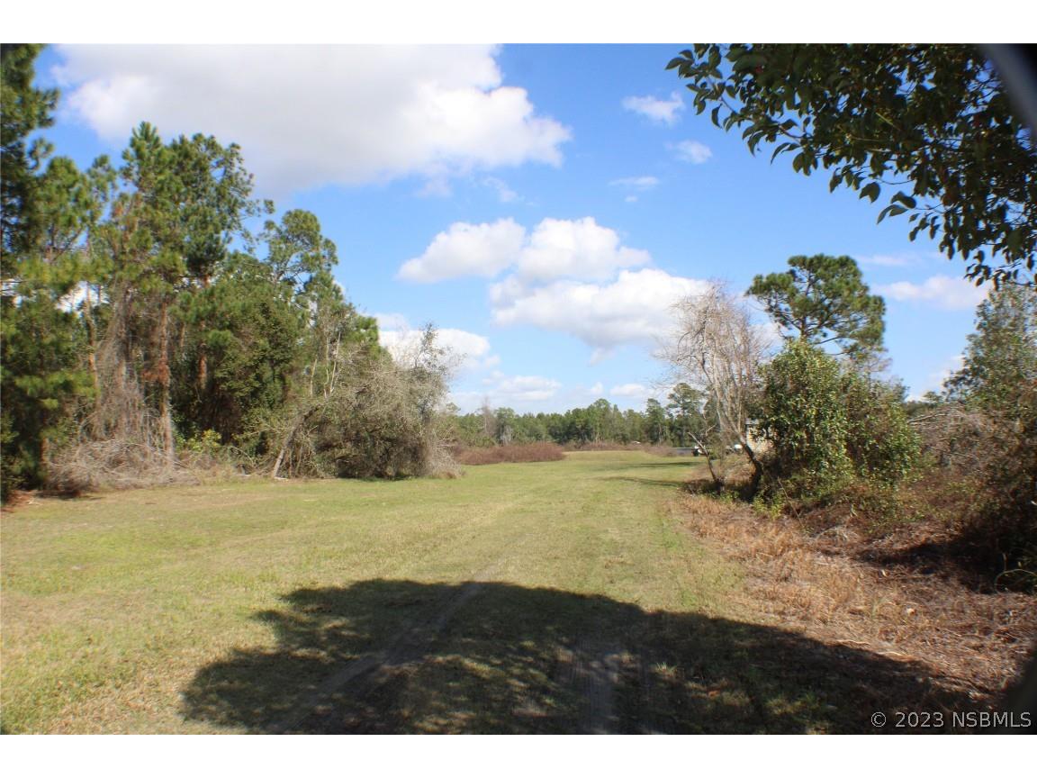 0 Gracie Drive Paisley FL 32767 NS1072153 image1
