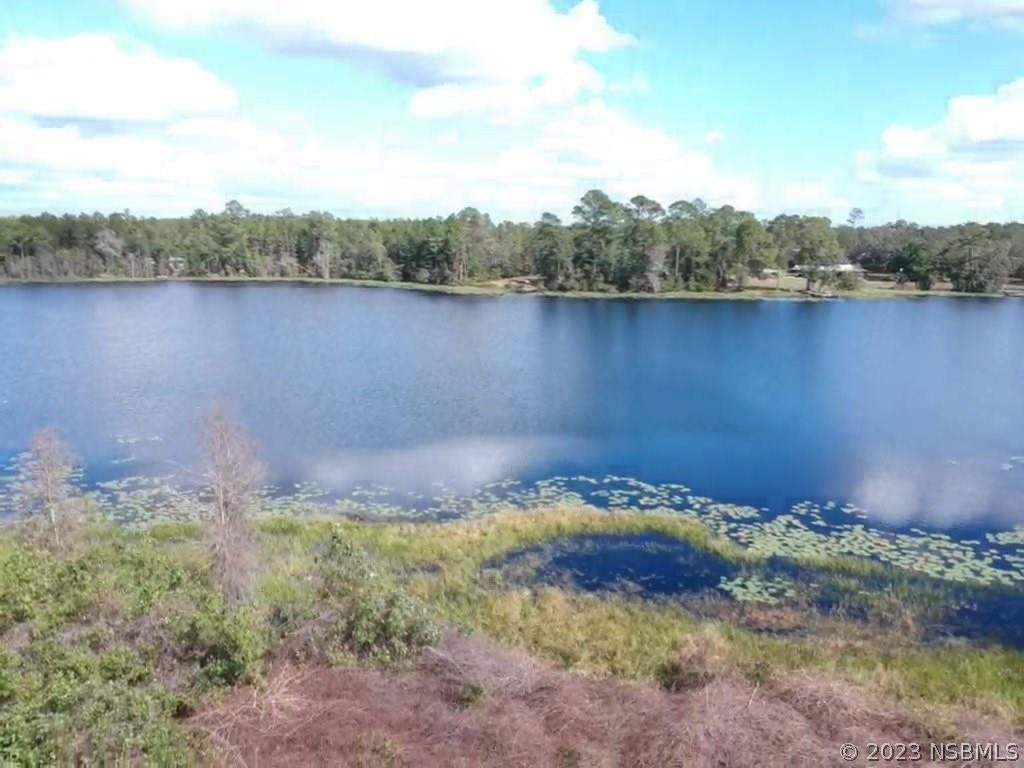 0 Gracie Drive Paisley FL 32767 NS1072153 image2