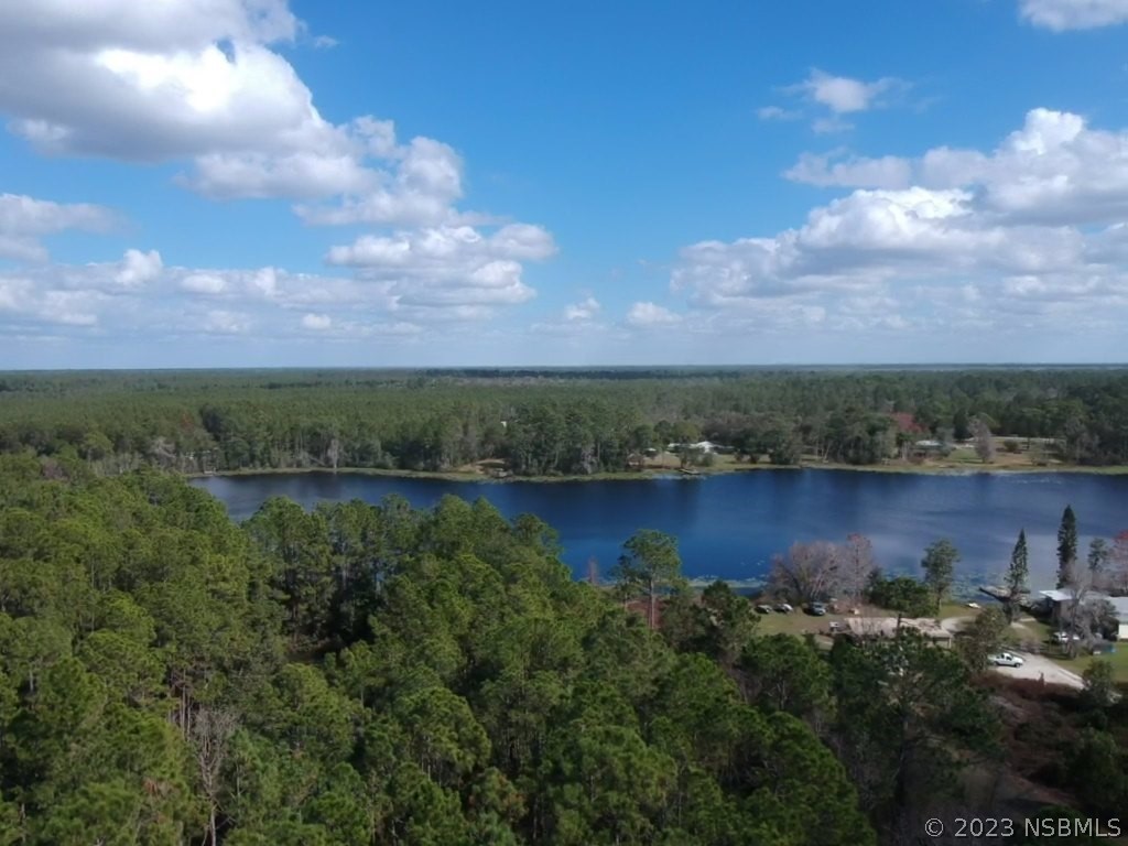 0 Gracie Drive Paisley FL 32767 NS1072153 image3