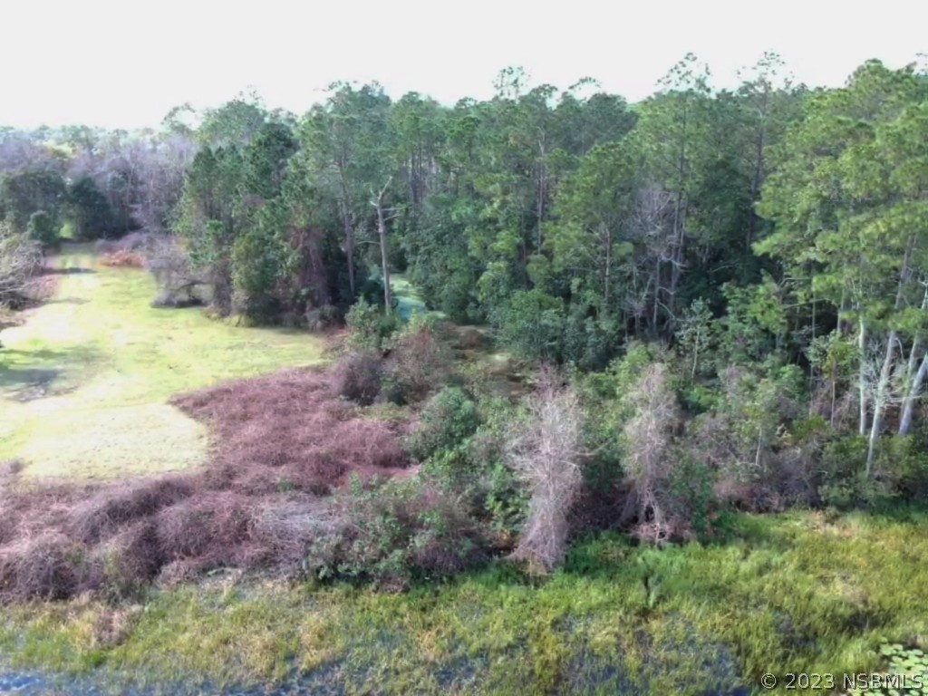 0 Gracie Drive Paisley FL 32767 NS1072153 image4