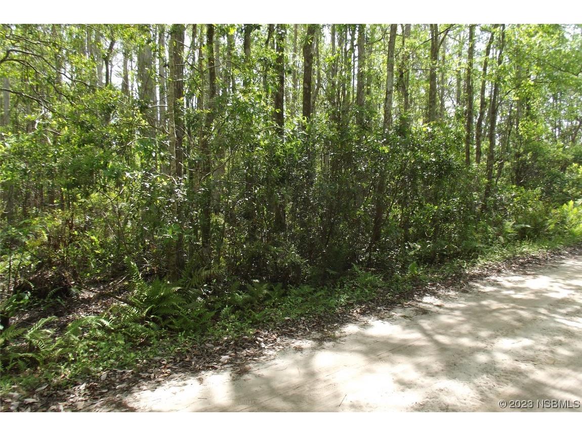 0 Gum Road New Smyrna Beach FL 32168 NS1074210 image1