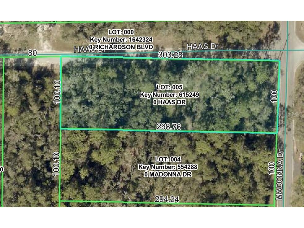 0 Haas Drive Webster FL 33597 A4691468 image1