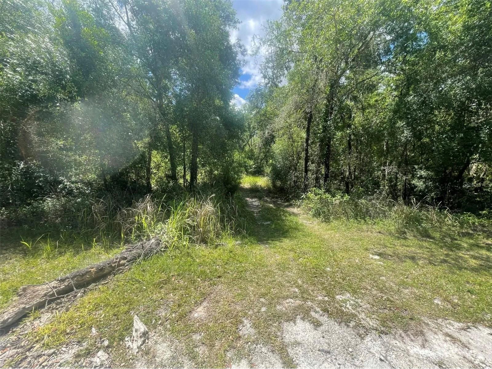 0 Haas Drive Webster FL 33597 A4691468 image2