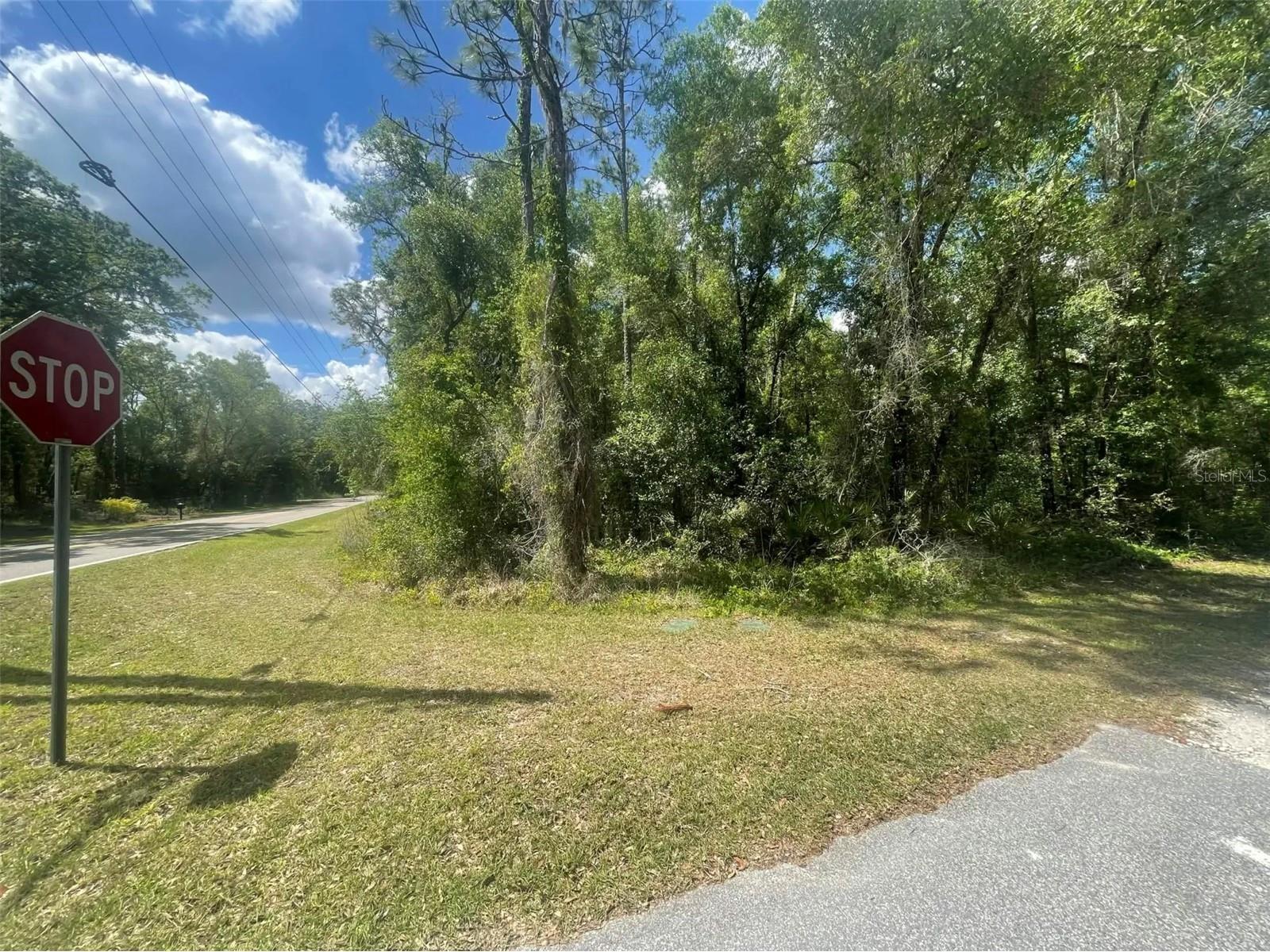 0 Haas Drive Webster FL 33597 A4691468 image3