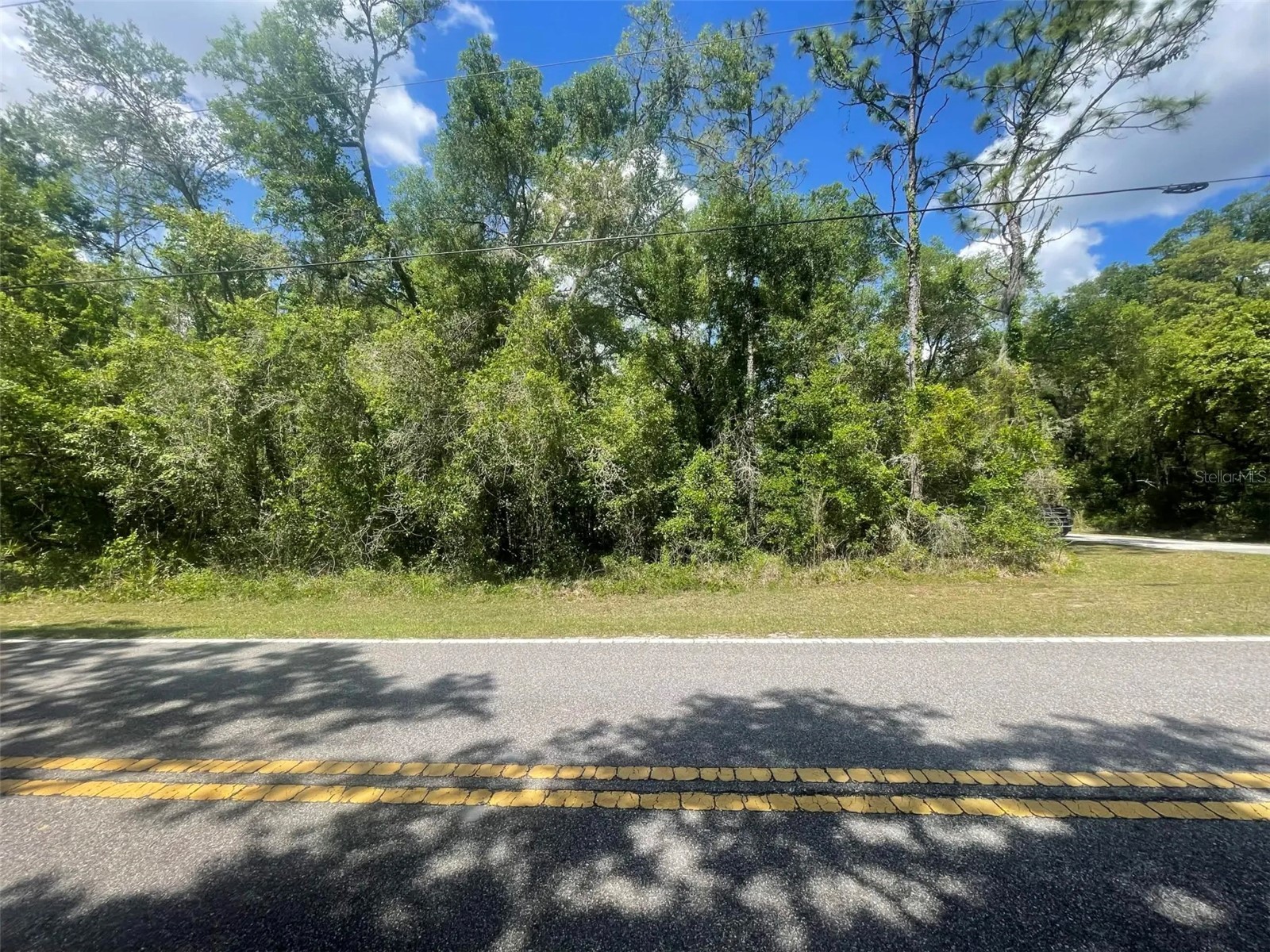 0 Haas Drive Webster FL 33597 A4691468 image4
