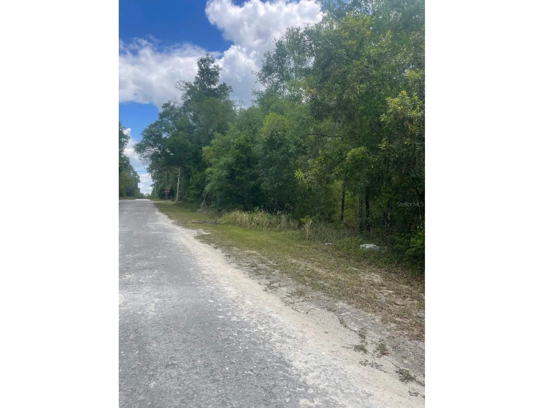 0 Haas Drive Webster FL 33597 A4691468 image6