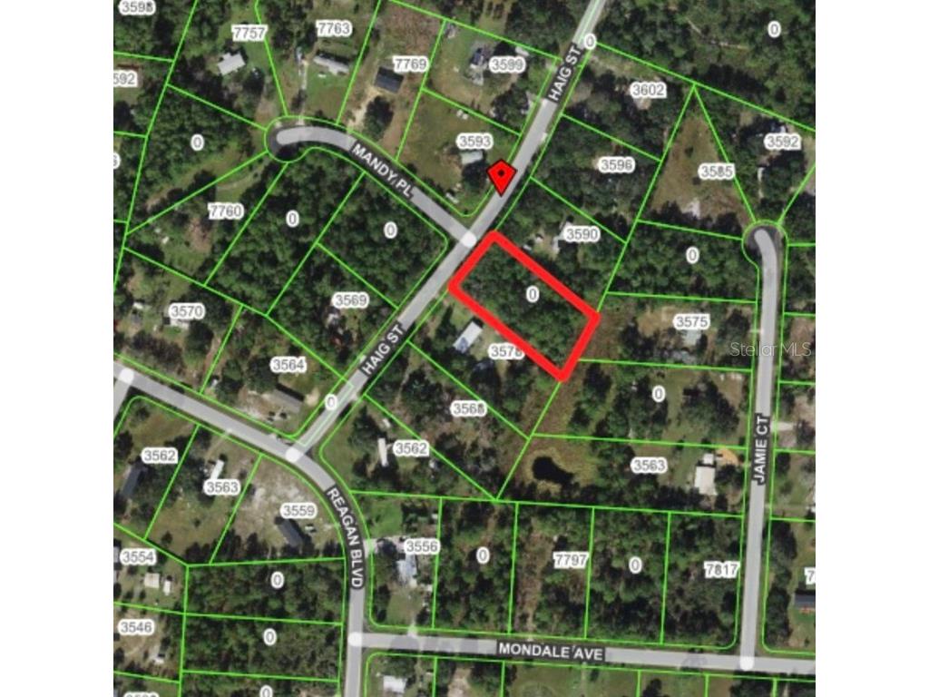 0 Haig Street Lake Wales FL 33898 TB8382960 image2