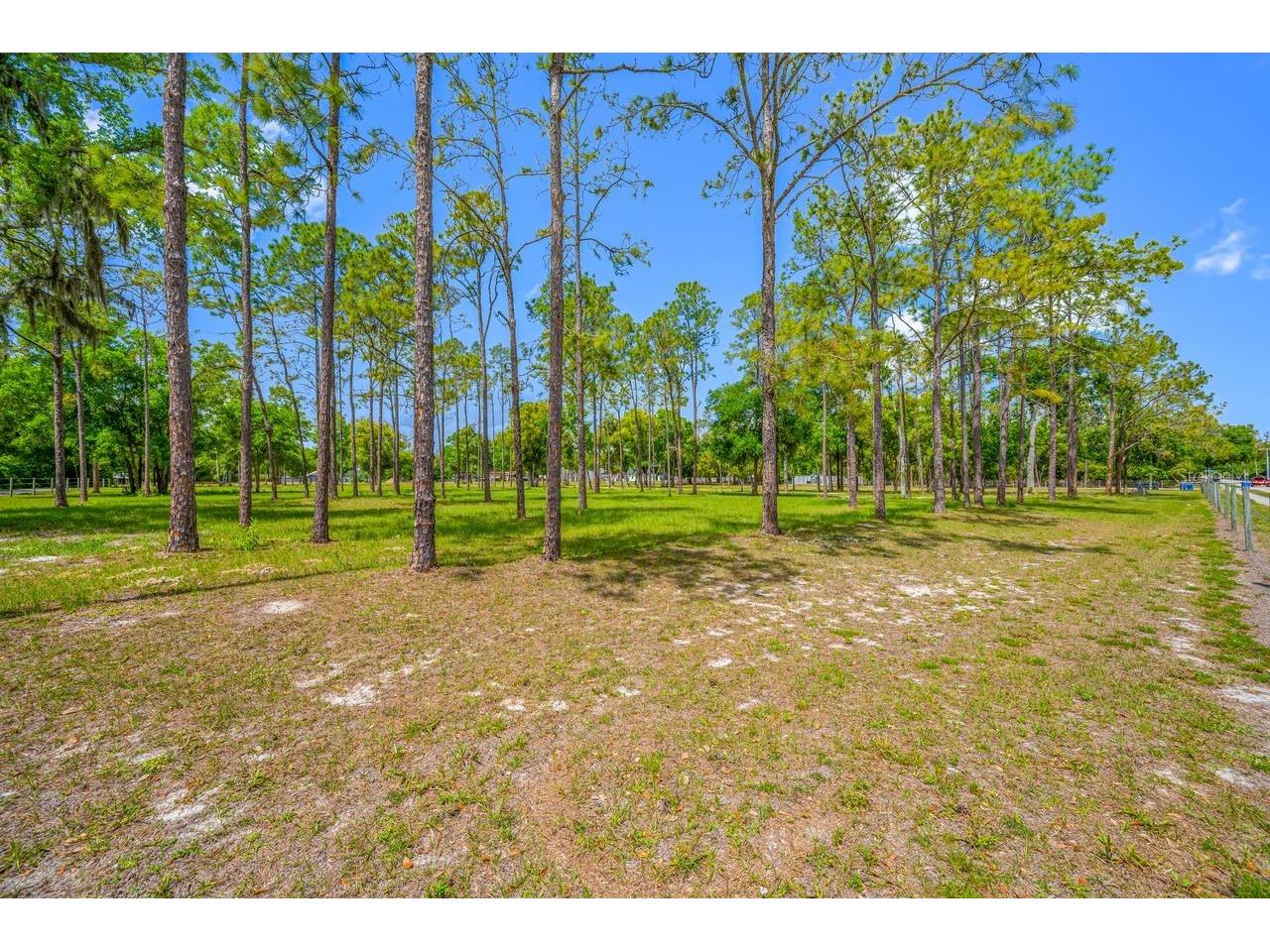 0 Hanna Road Lutz FL 33549 TB8494954 image29