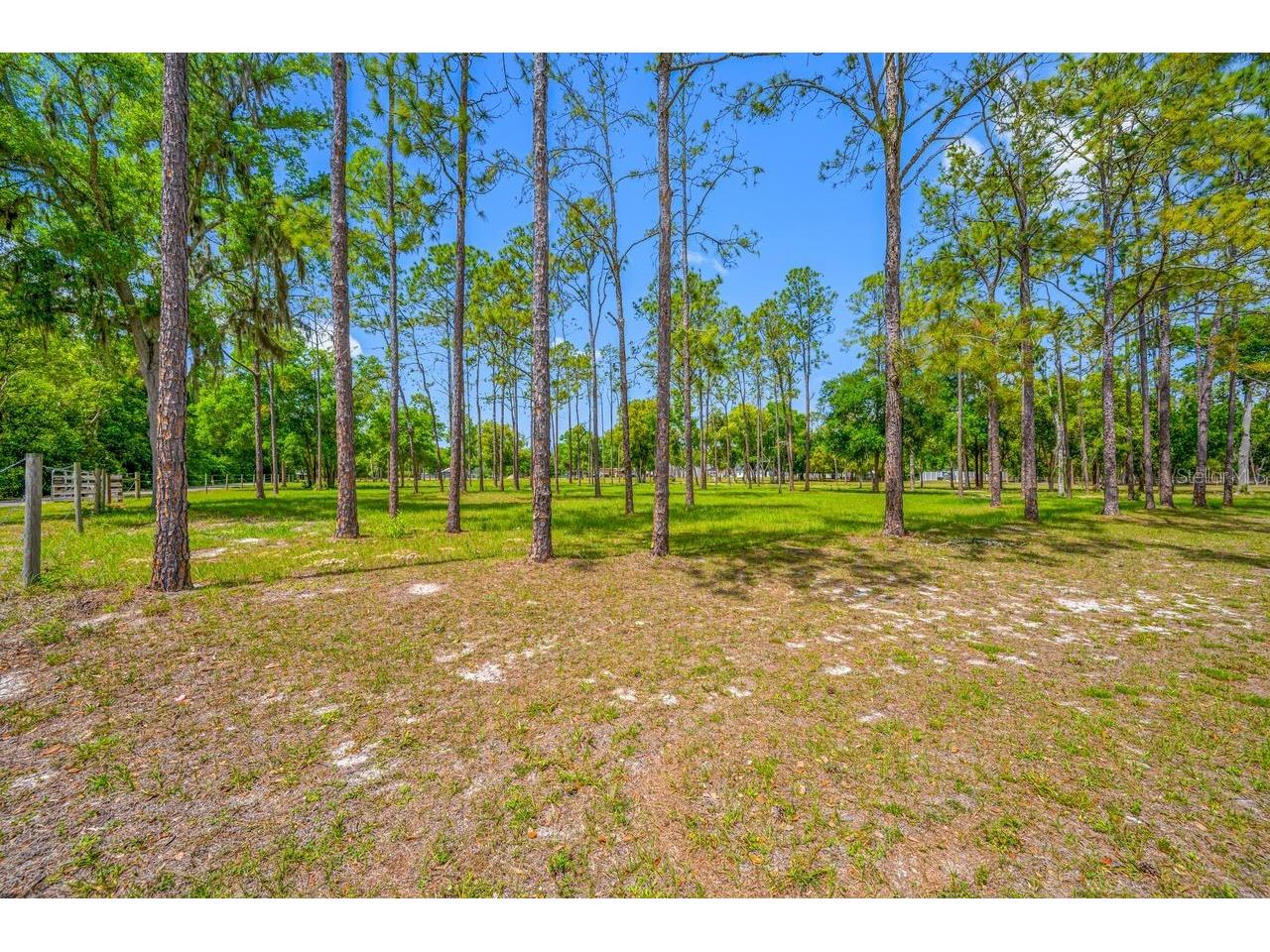 0 Hanna Road Lutz FL 33549 TB8494954 image30