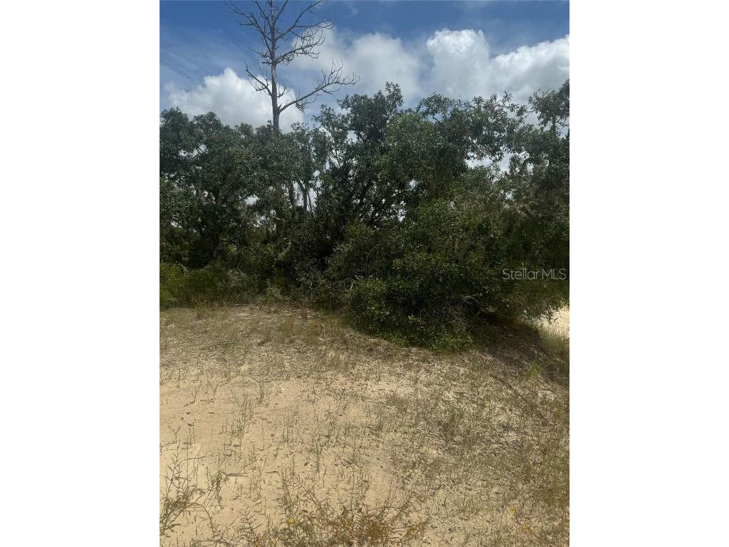 0 Hardstone Drive Webster FL 33597 TB8305281 image1