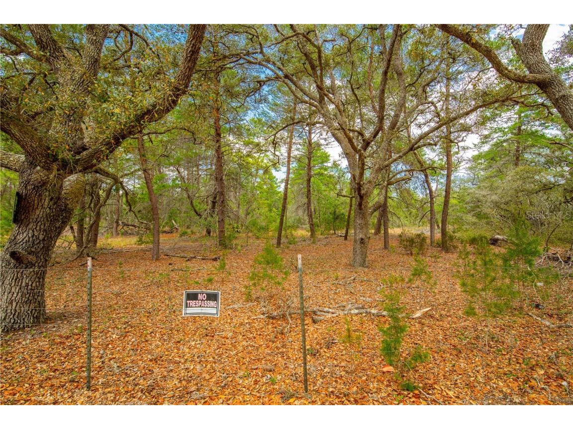 0 Harrison Street Brooksville FL 34613 W7854854 image1