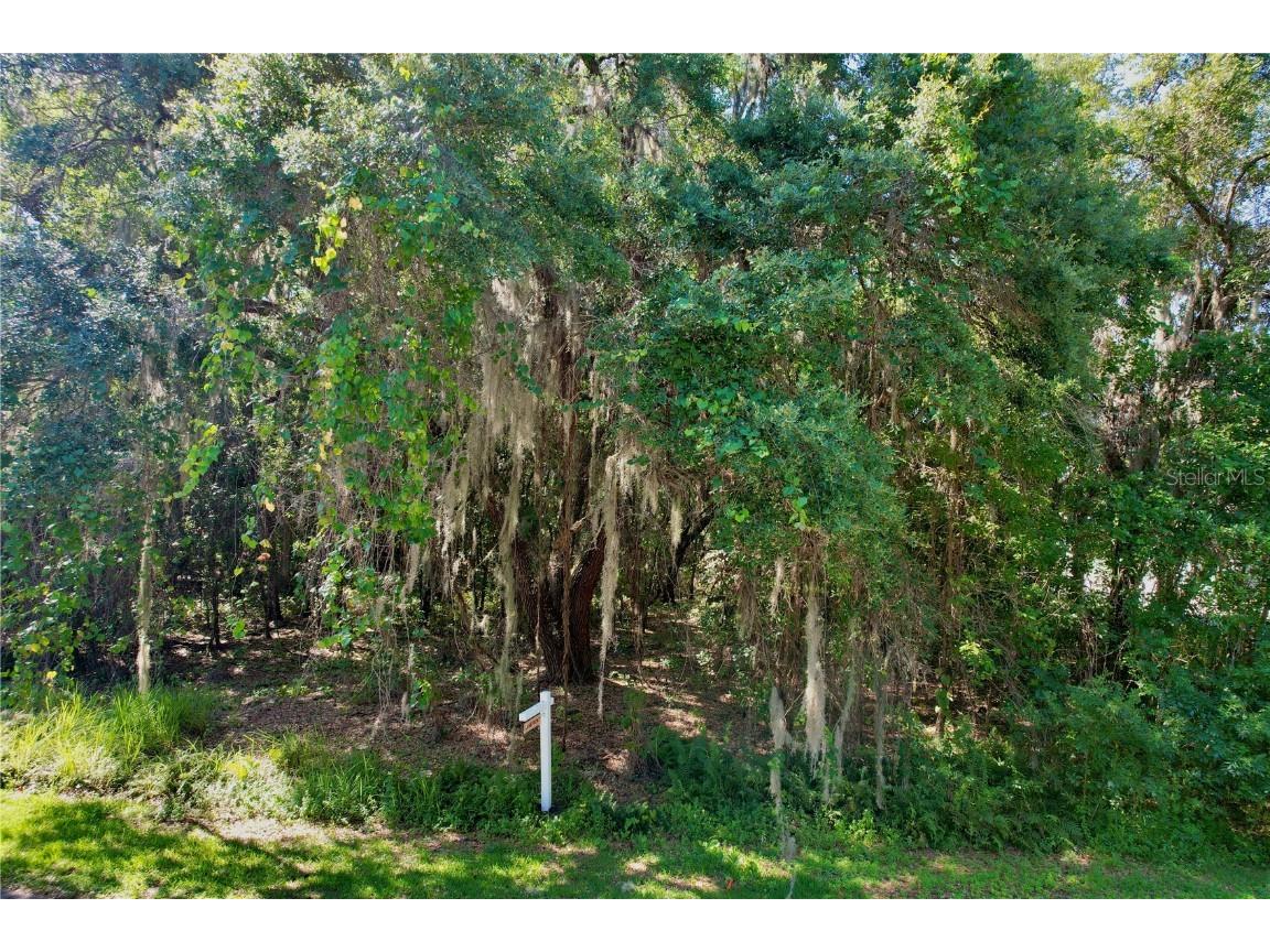 0 Harvest Lane Kissimmee FL 34744 O6166991 image1