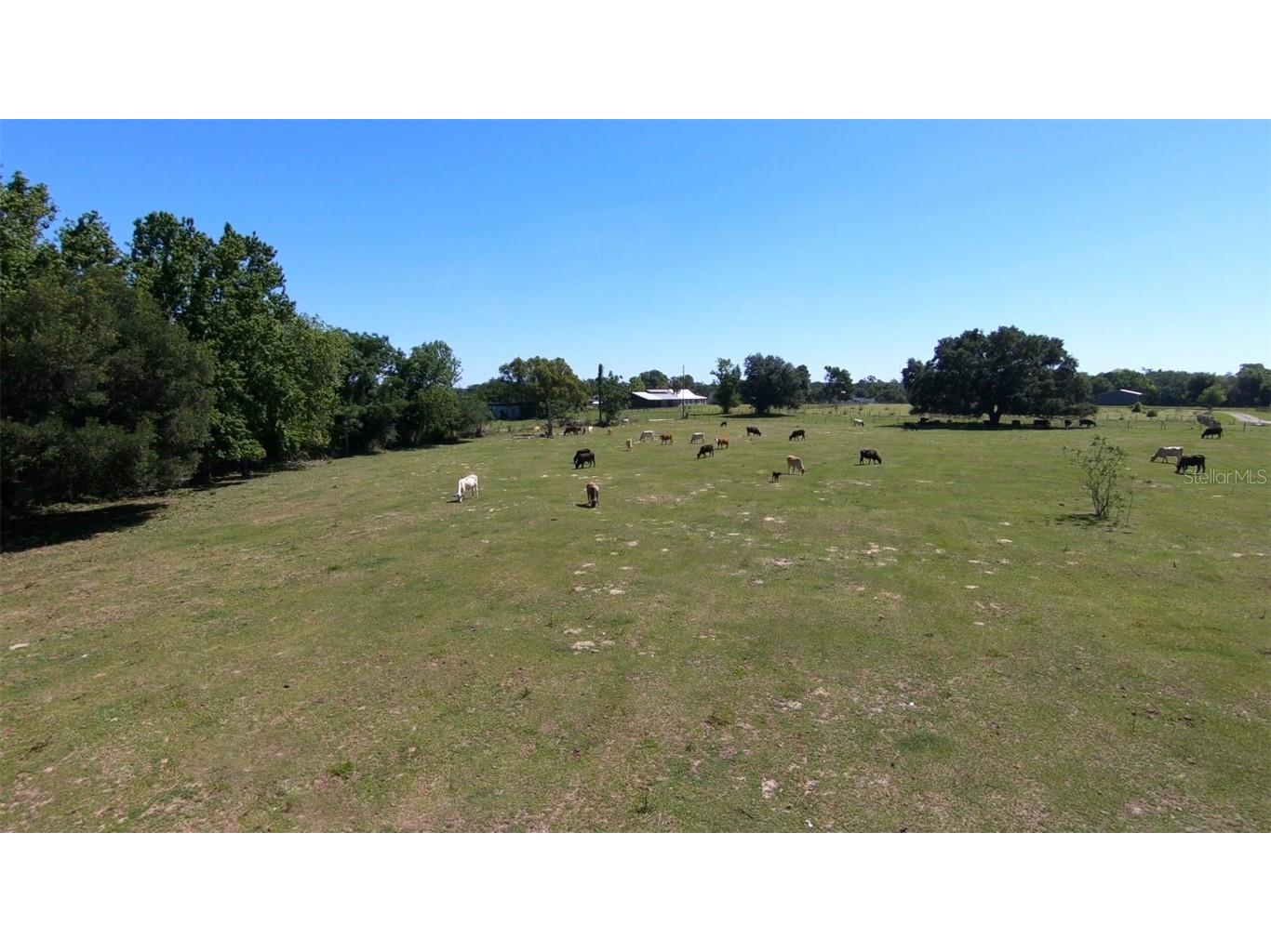 0 Hayman (Parcel 5) Road Brooksville FL 34602 W7845483 image1