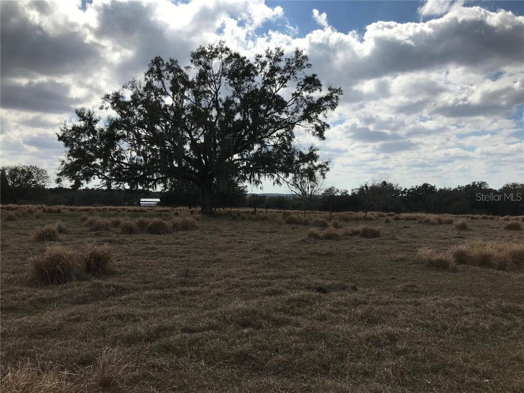 0 Hayman Road Brooksville FL 34602 T3355641 image1